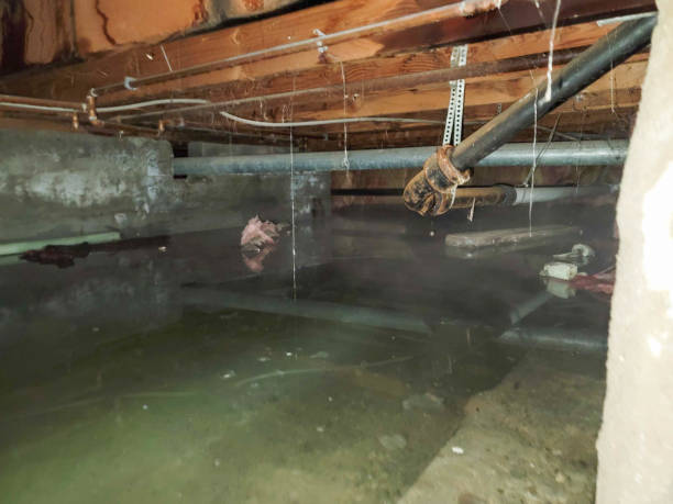 Trusted Medford, OR Water damage restoration Experts