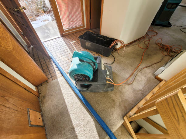 Best Basement water damage restoration  in Medfd, OR