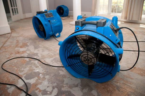 Best Residential water damage restoration  in Medfd, OR