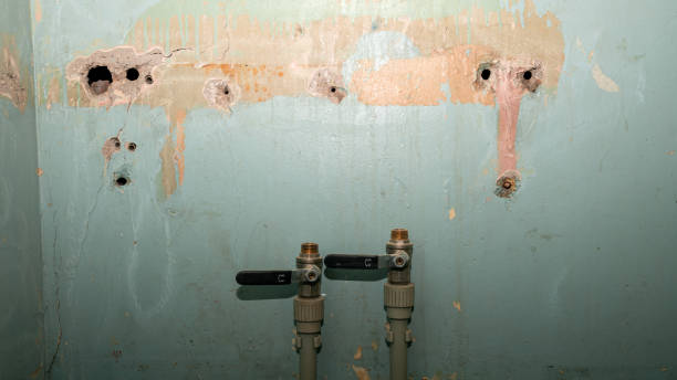 Best Flood damage cleanup  in Medfd, OR