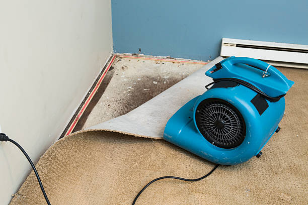  Medfd, OR Water damage restoration Pros